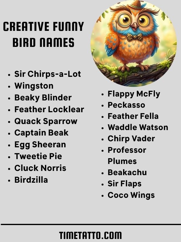 Creative Funny Bird Names