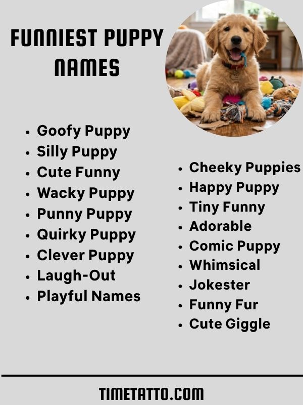 Funniest Puppy Names
