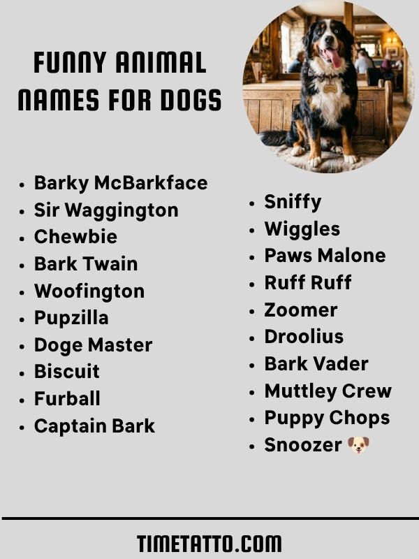 Funny Animal Names For Dogs