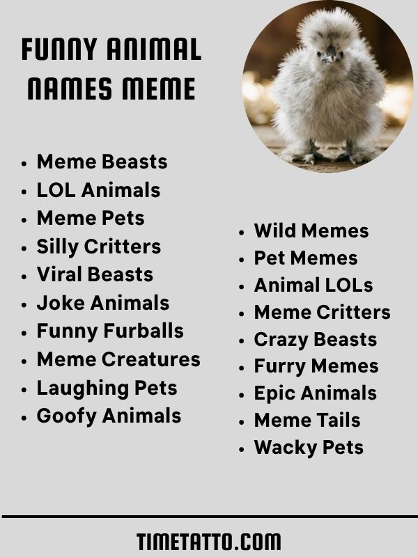 Funny Animal Names Meme