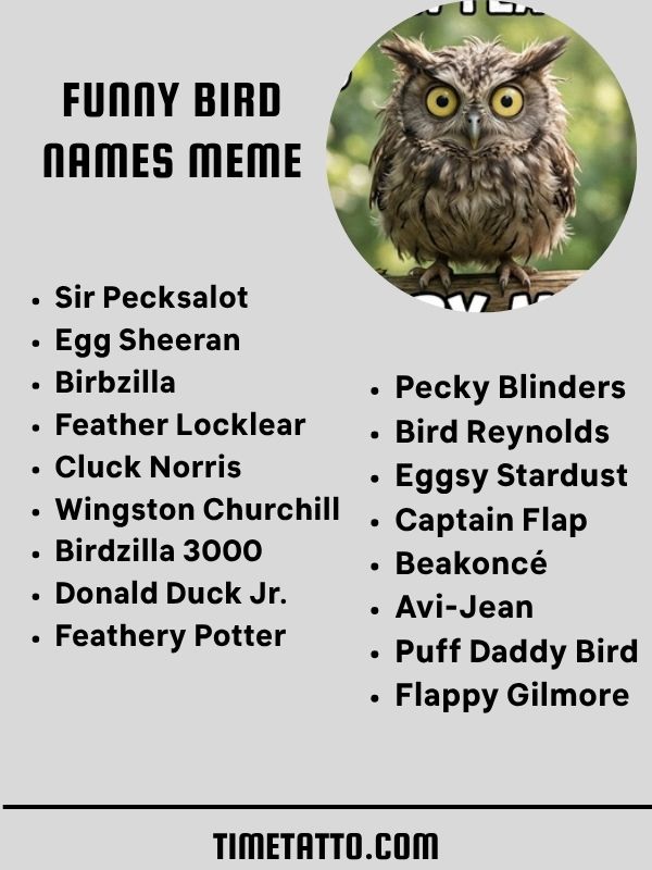 Funny Bird Names Meme