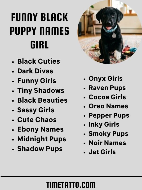 Funny Black Puppy Names Girl