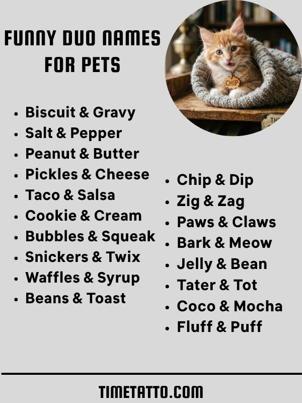 Funny Duo Names For Pets