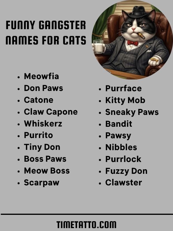 Funny Gangster Names For Cats