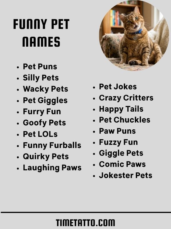 Funny Pet Names