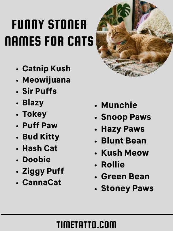Funny Stoner Names For Cats