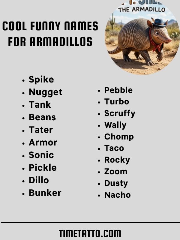 Cool Funny Names For Armadillos