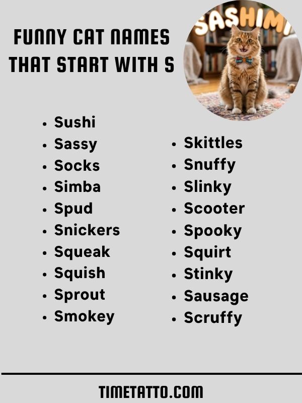 Funny Cat Names That Start With S