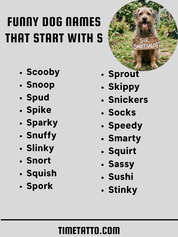 Funny Dog Names That Start With S